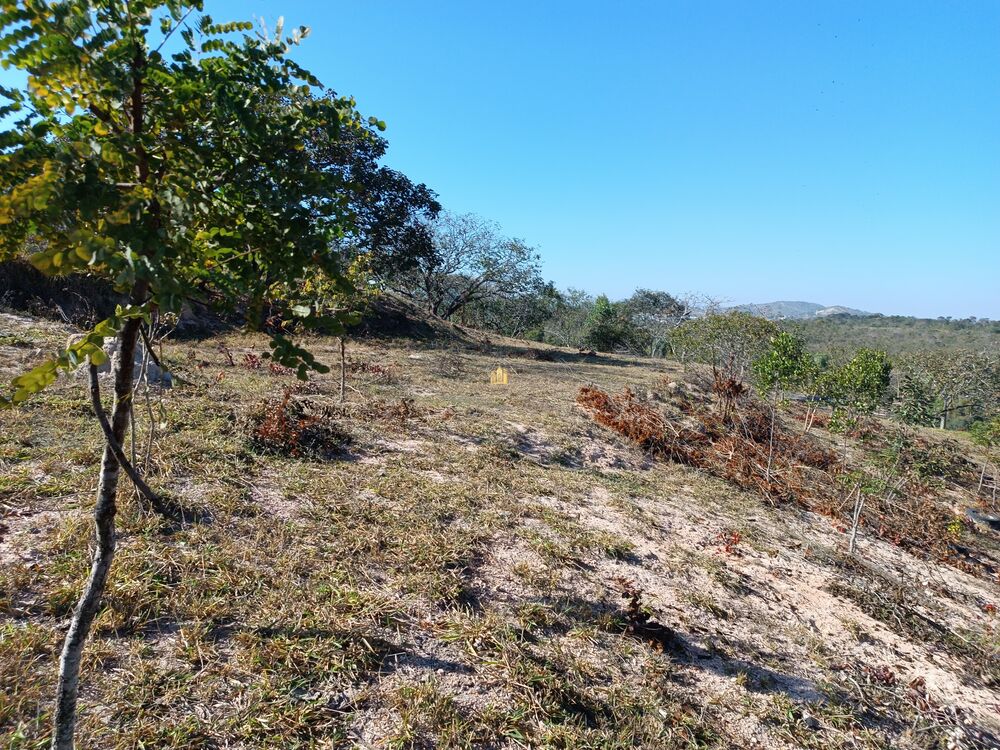 Terreno, 6000 m² - Foto 3