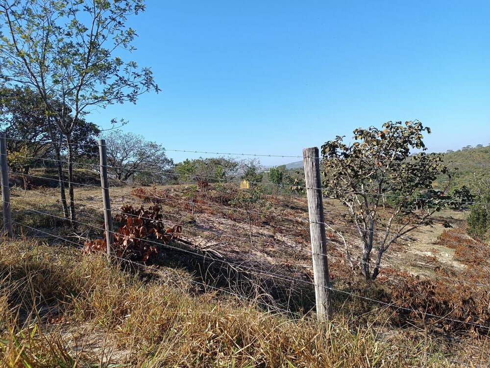 Terreno, 6000 m² - Foto 5