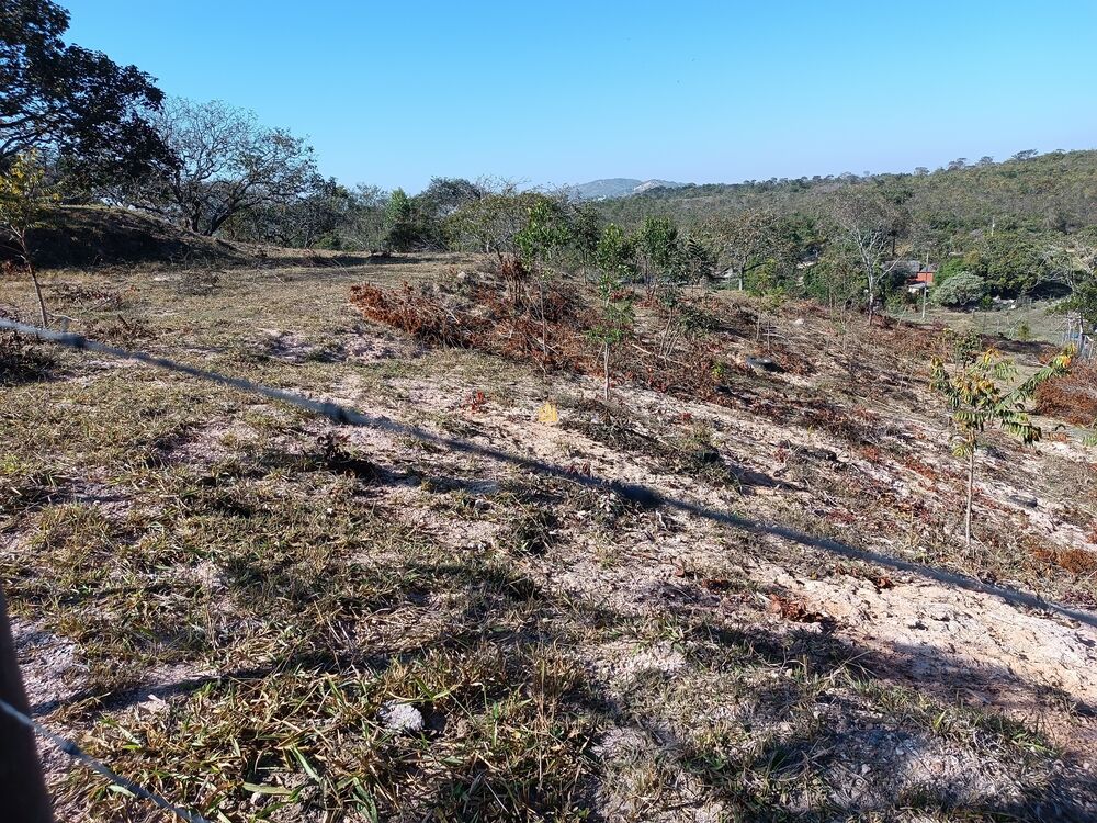 Terreno, 6000 m² - Foto 1