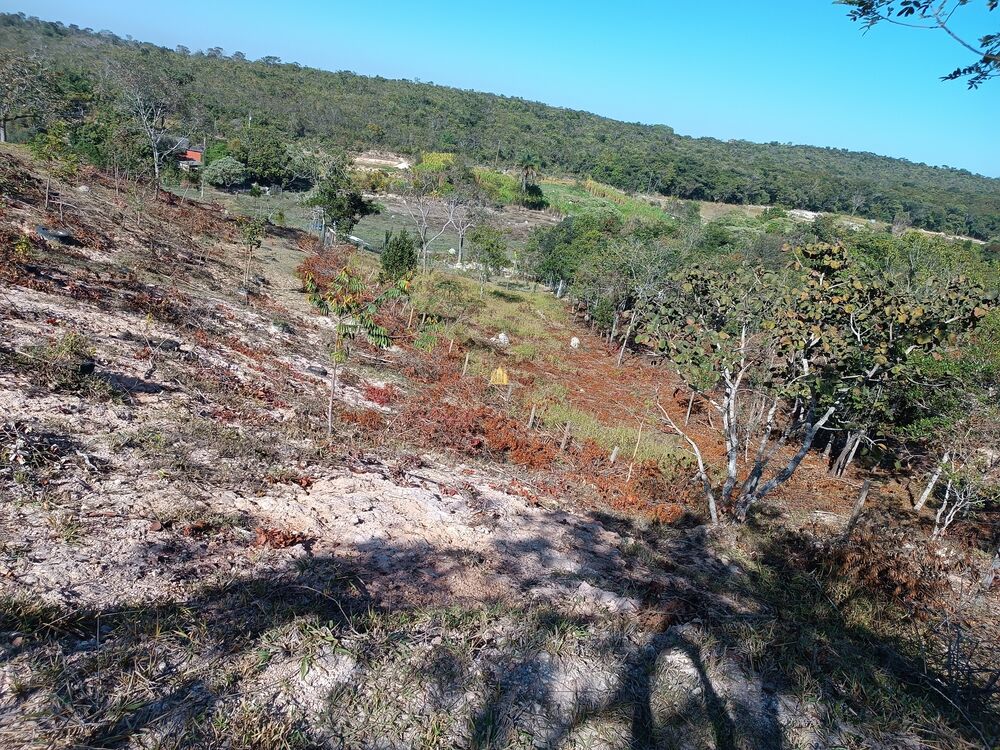 Terreno, 6000 m² - Foto 4