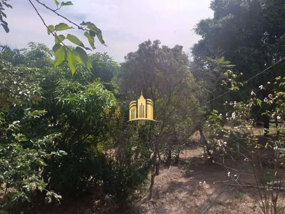 Chácara, 4 quartos, 8300 m² - Foto 2
