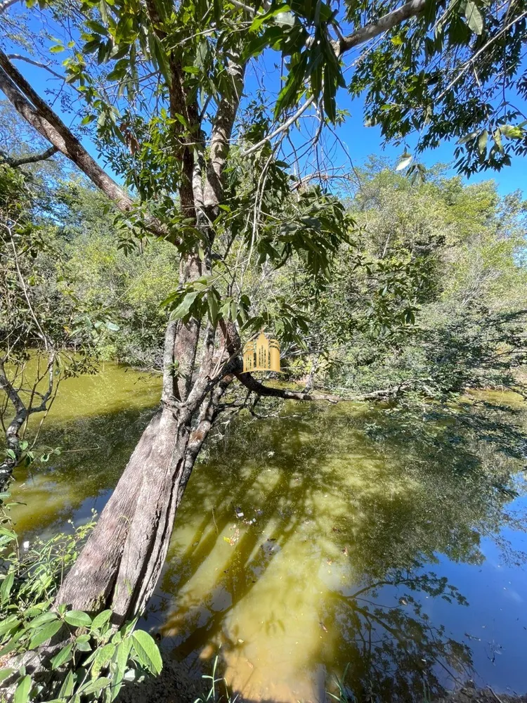 Sítio, 6 quartos, 3000 m² - Foto 3