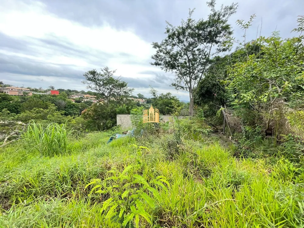 Loja-Salão, 360 m² - Foto 4