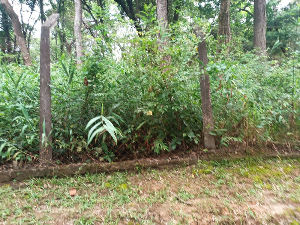Terreno, 420 m² - Foto 8