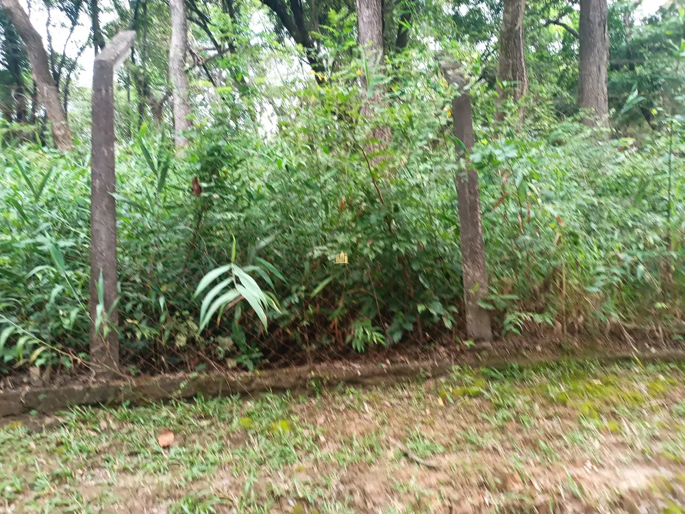 Terreno, 420 m² - Foto 13