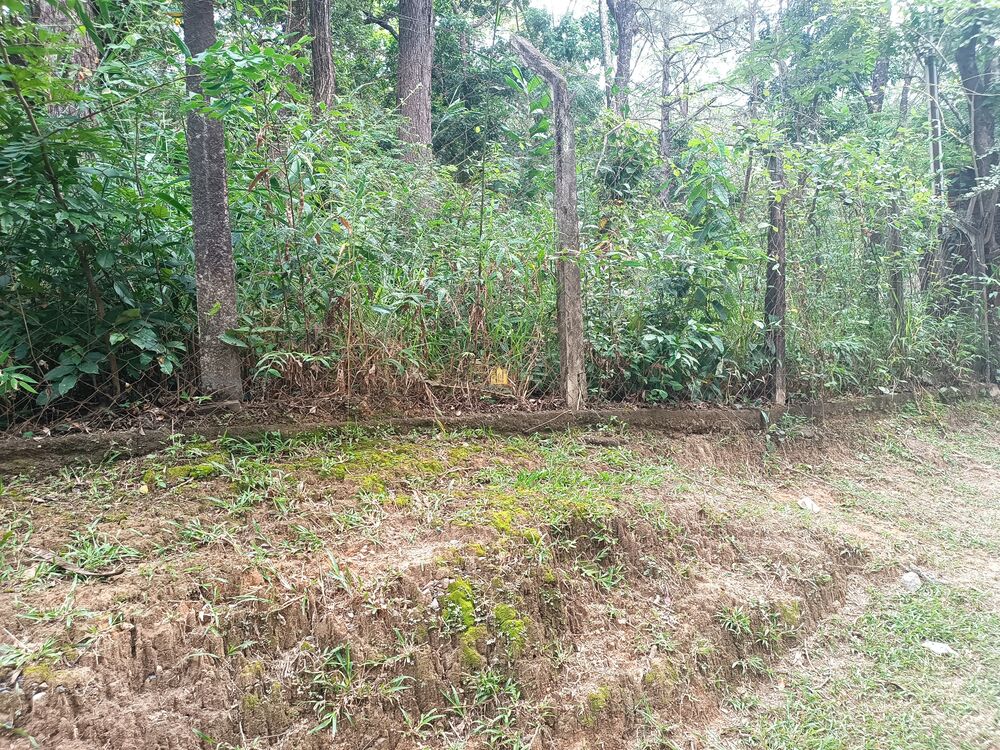 Terreno, 420 m² - Foto 2