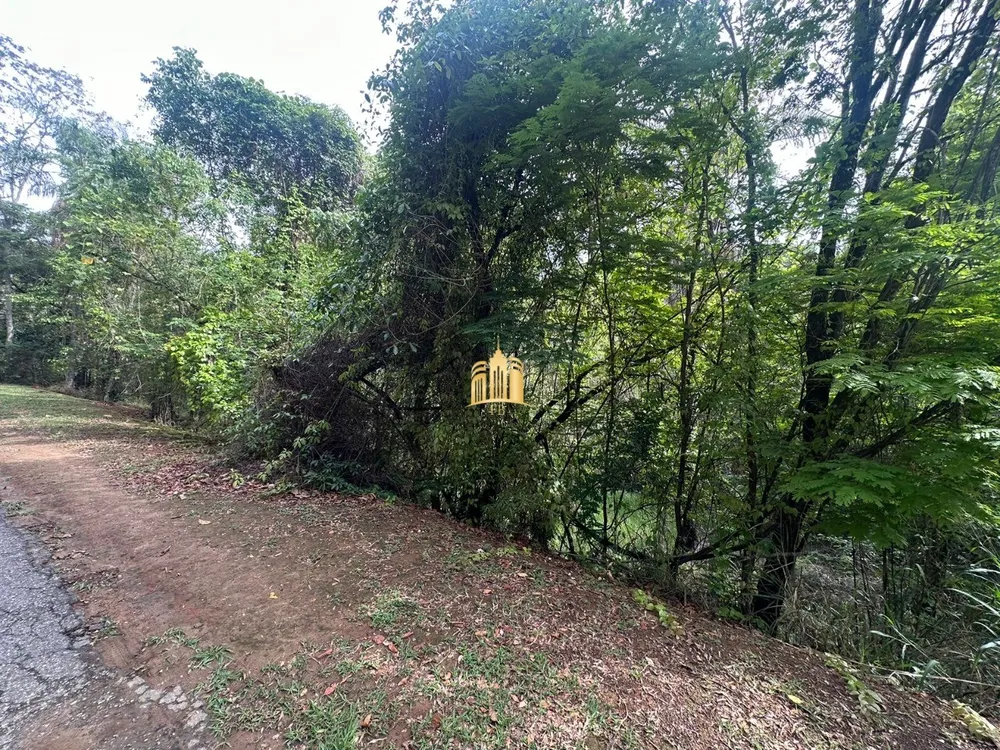 Terreno, 2000 m² - Foto 3