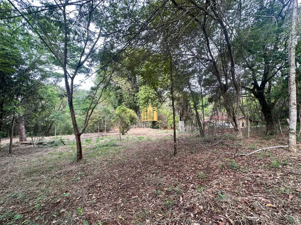 Terreno, 2000 m² - Foto 6