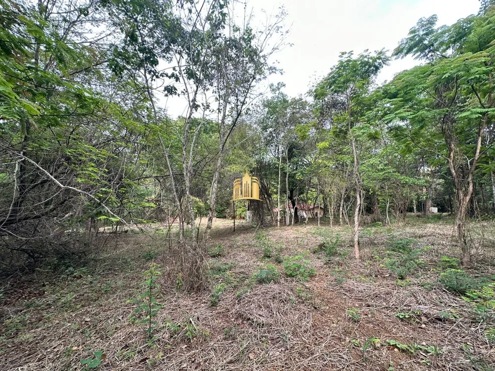 Terreno, 2000 m² - Foto 4
