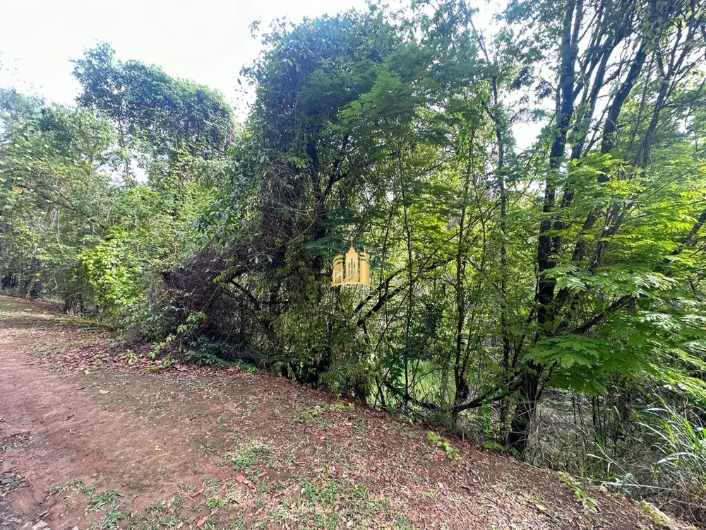 Terreno, 2000 m² - Foto 12