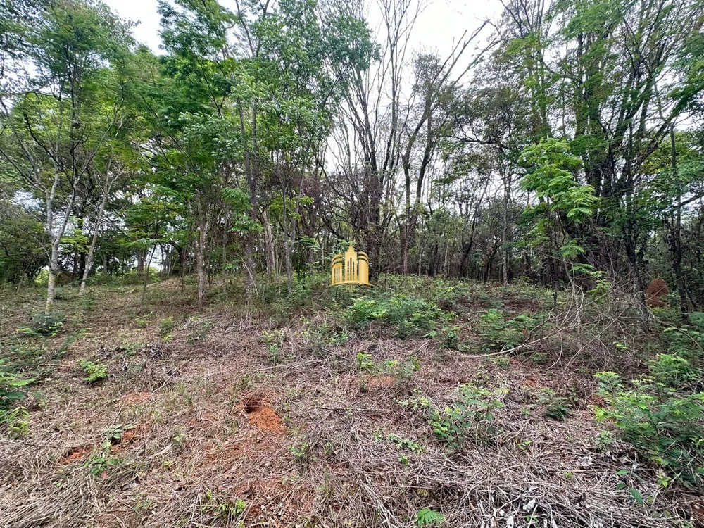 Terreno, 2000 m² - Foto 4