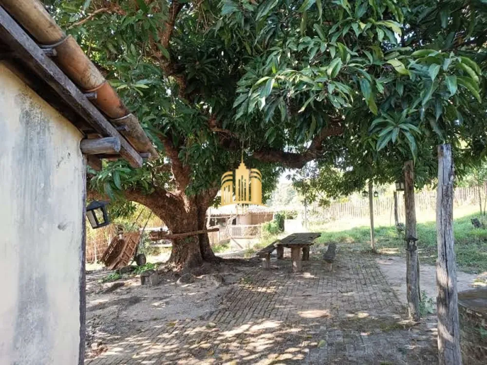 Sítio, 3 quartos, 1 hectares - Foto 6