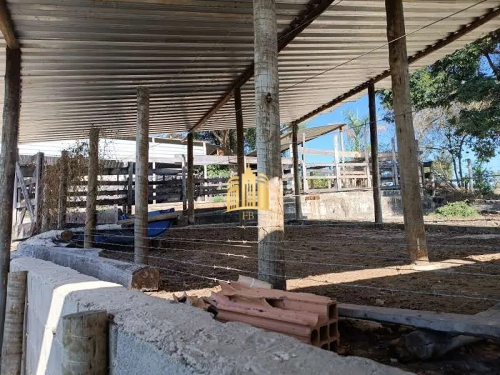 Sítio, 3 quartos, 1 hectares - Foto 4