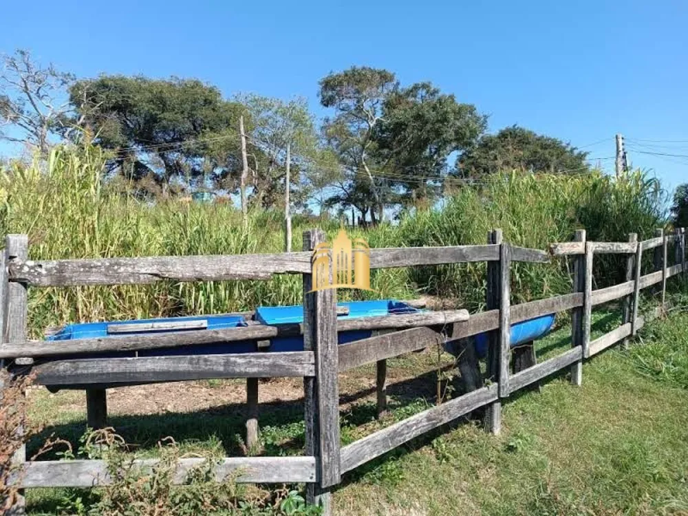 Sítio, 3 quartos, 1 hectares - Foto 3