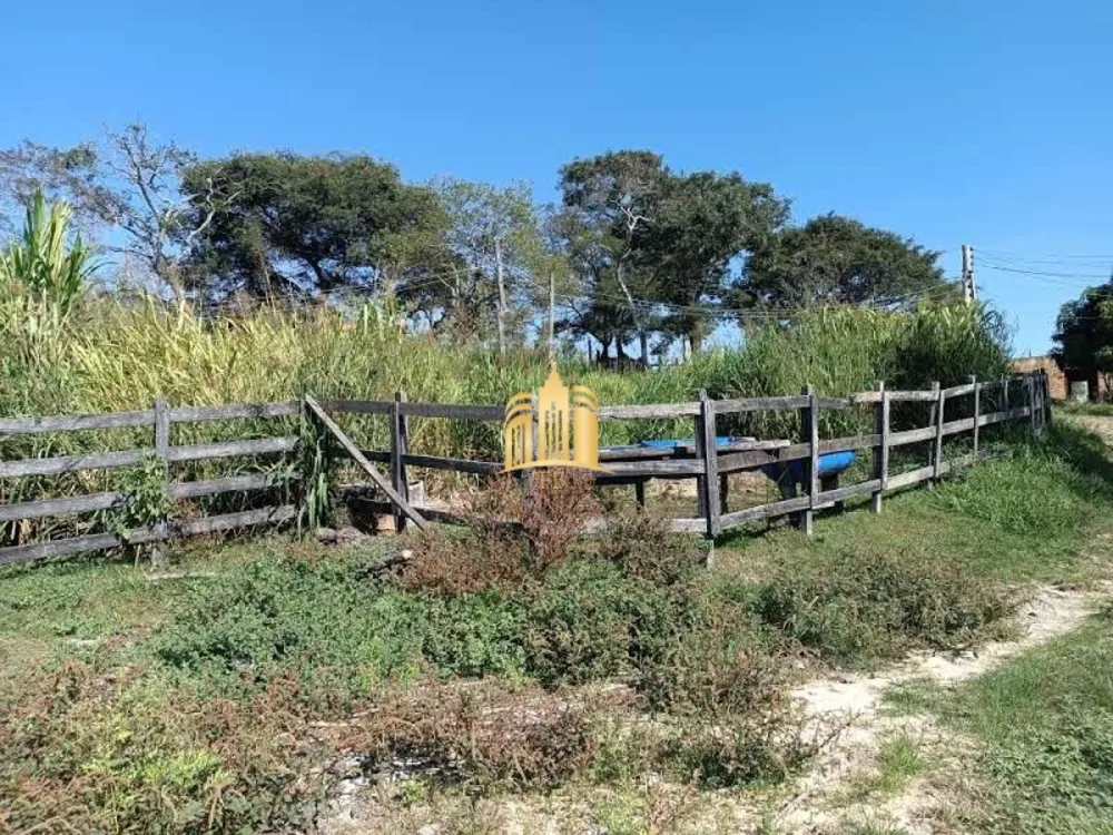 Sítio, 3 quartos, 1 hectares - Foto 4