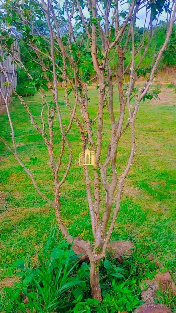 Terreno, 1320 m² - Foto 1