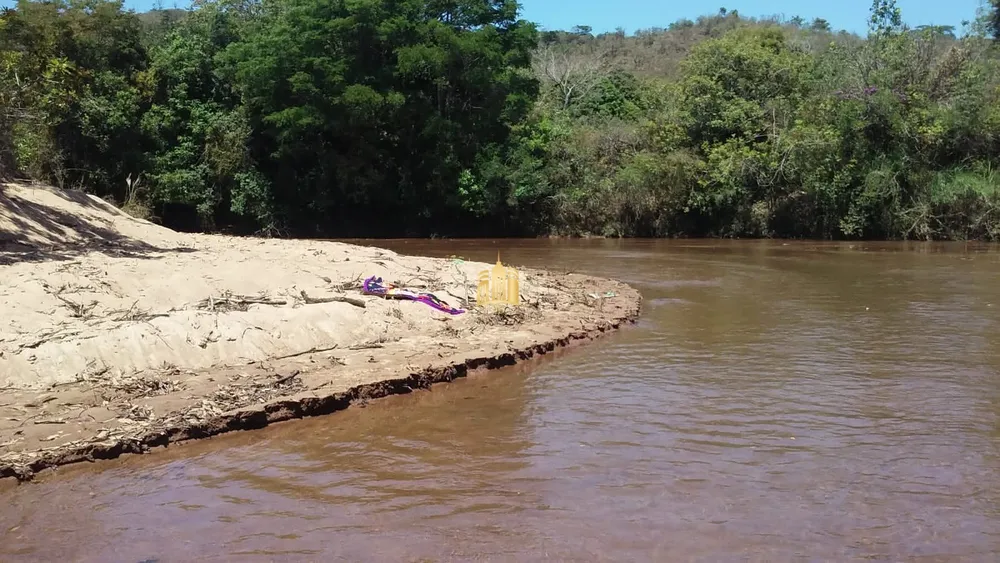 Fazenda, 33 hectares - Foto 11