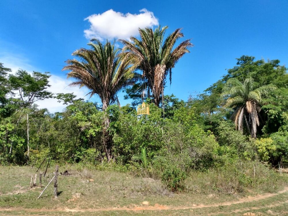 Fazenda, 33 hectares - Foto 1