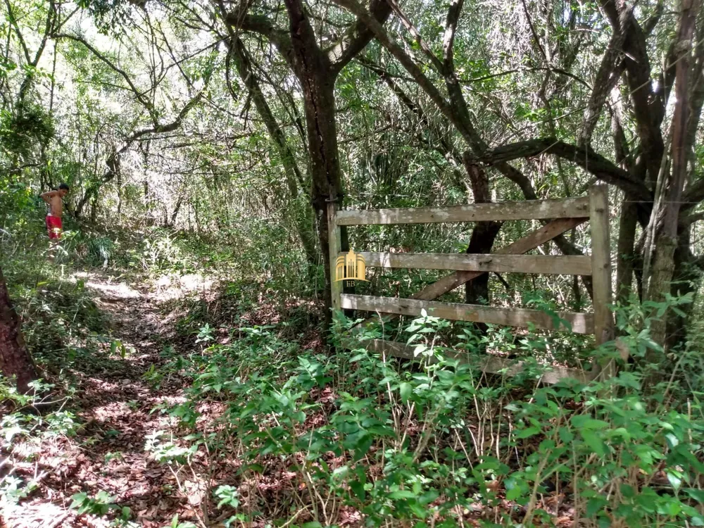 Fazenda, 33 hectares - Foto 9