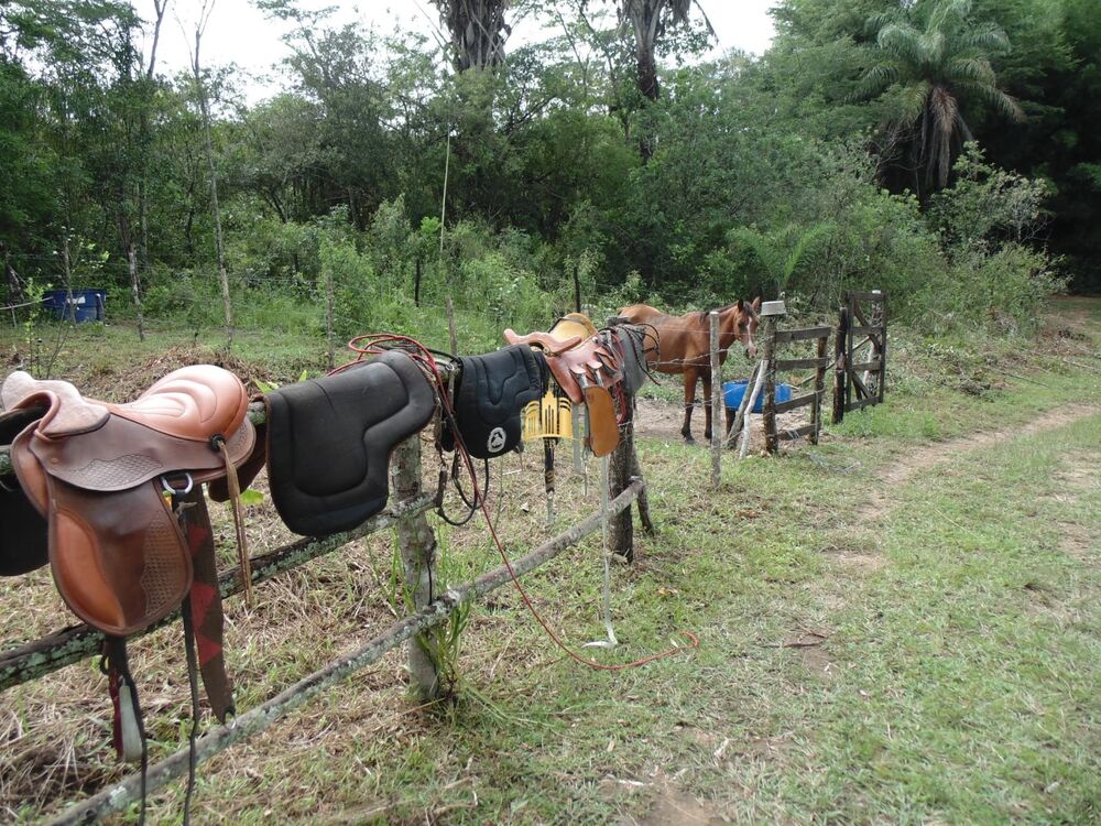 Fazenda, 33 hectares - Foto 7