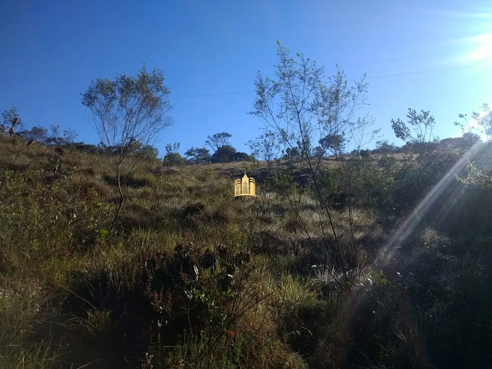 Fazenda, 33 hectares - Foto 10