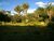 Fazenda, 33 hectares - Foto 4