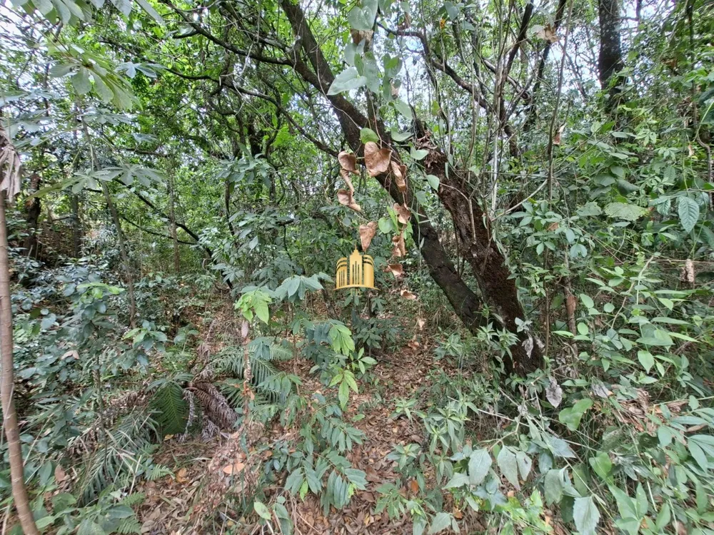 Sítio, 2 quartos, 7 hectares - Foto 11