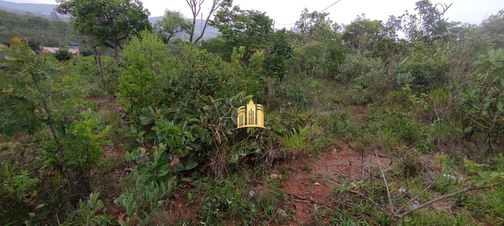 Terreno, 360 m² - Foto 4