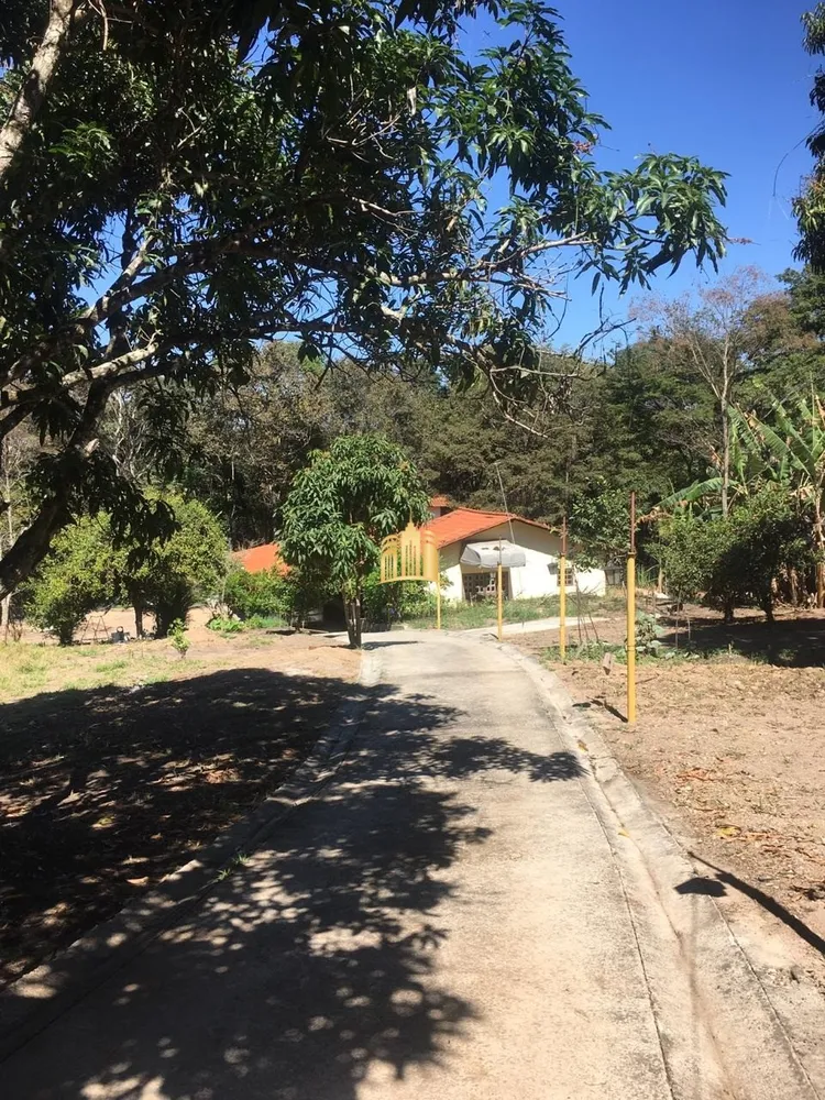 Sítio, 2 quartos, 5000 m² - Foto 4