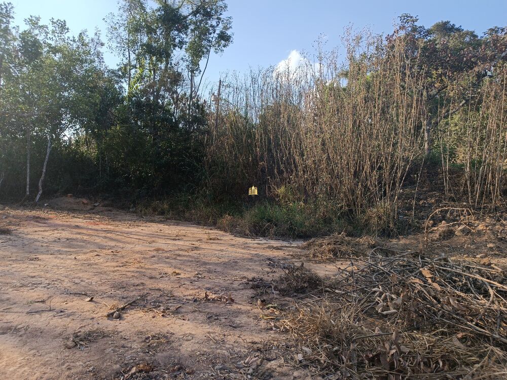 Terreno, 5000 m² - Foto 3