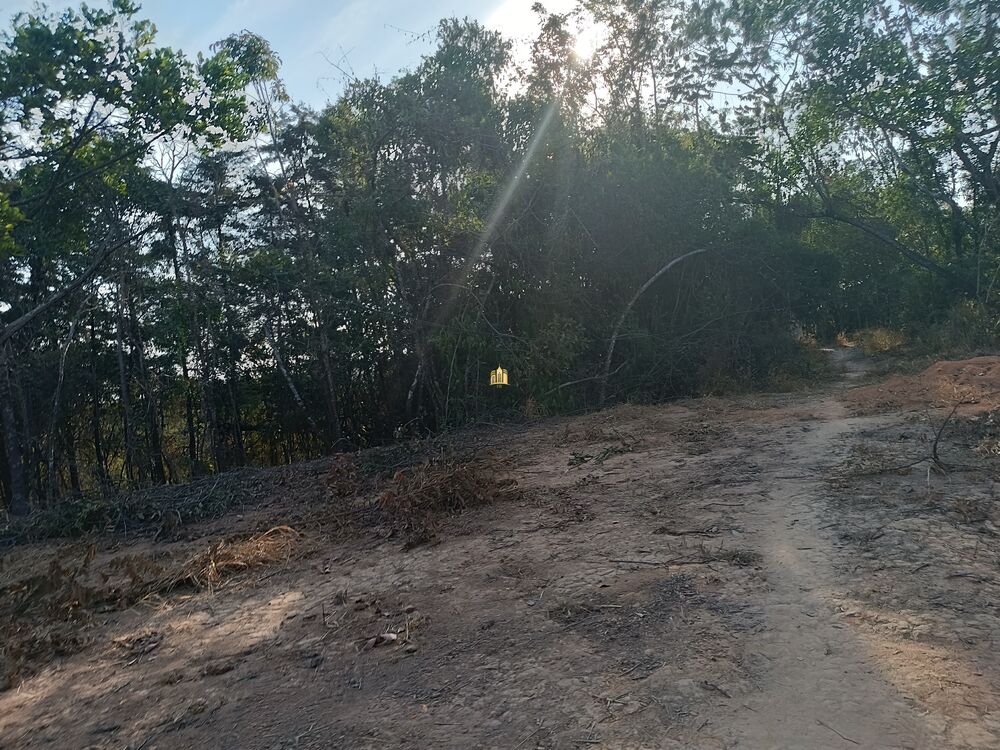 Terreno, 5000 m² - Foto 4