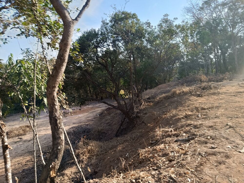 Terreno, 5000 m² - Foto 5