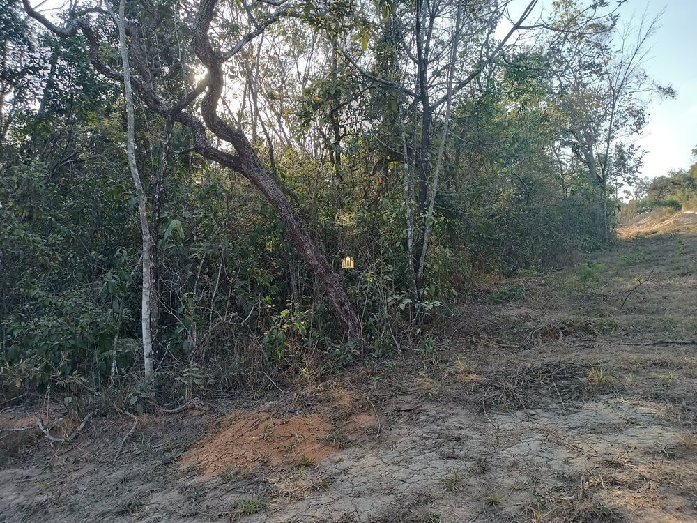 Terreno, 5000 m² - Foto 7