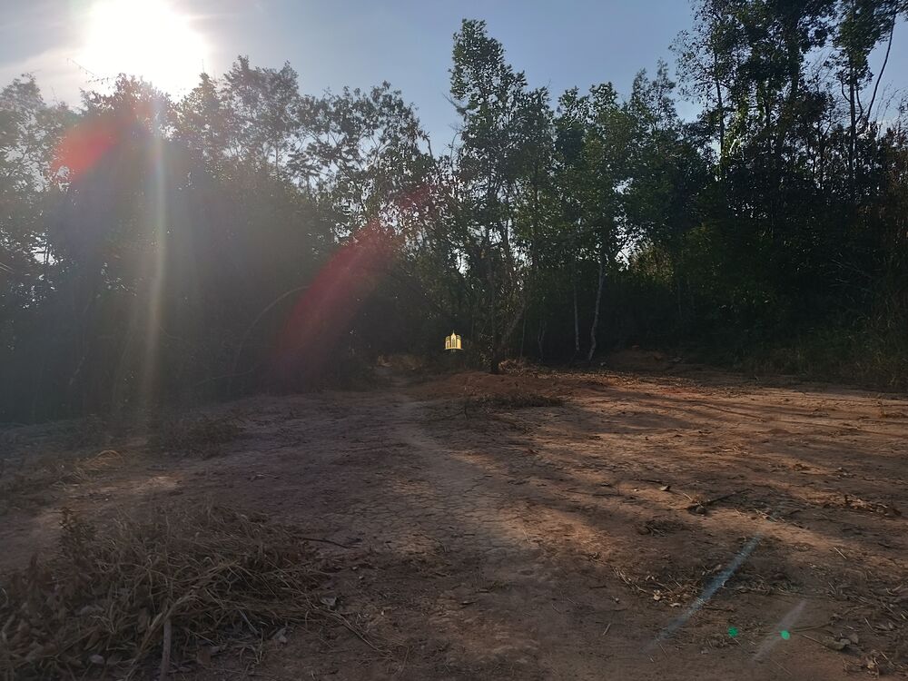 Terreno, 5000 m² - Foto 6