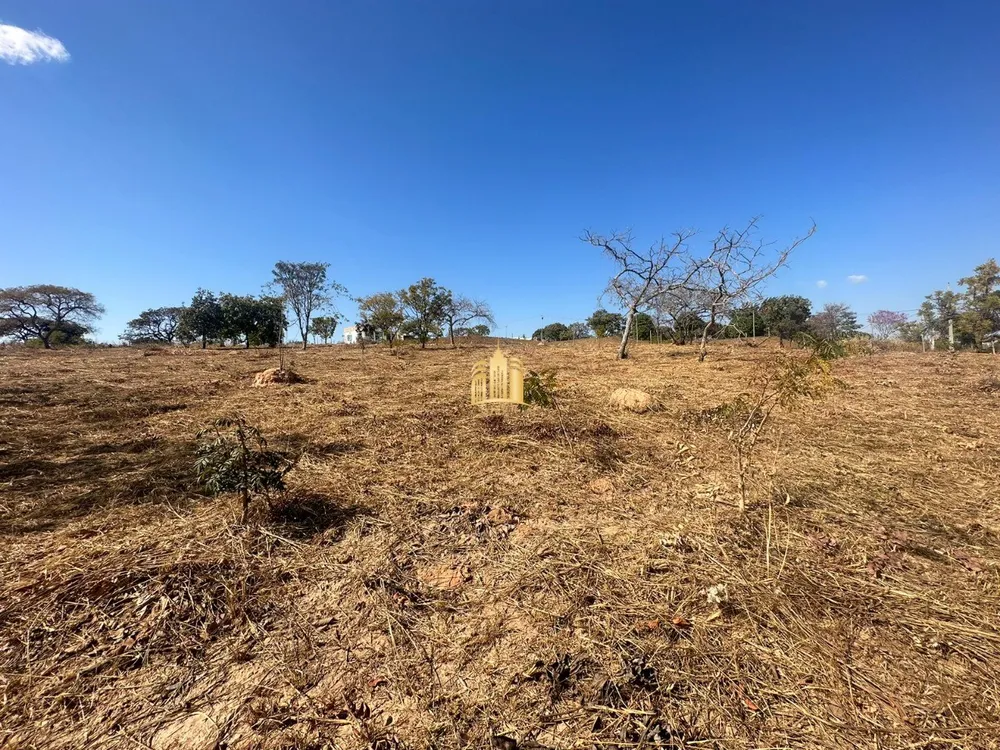 Terreno, 5000 m² - Foto 2
