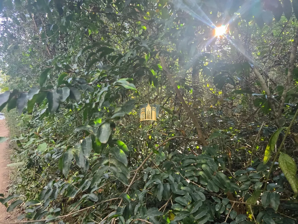 Terreno, 1 hectares - Foto 4