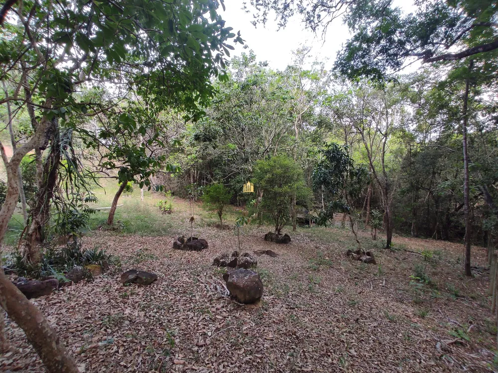 Sítio, 3 quartos, 2 hectares - Foto 11