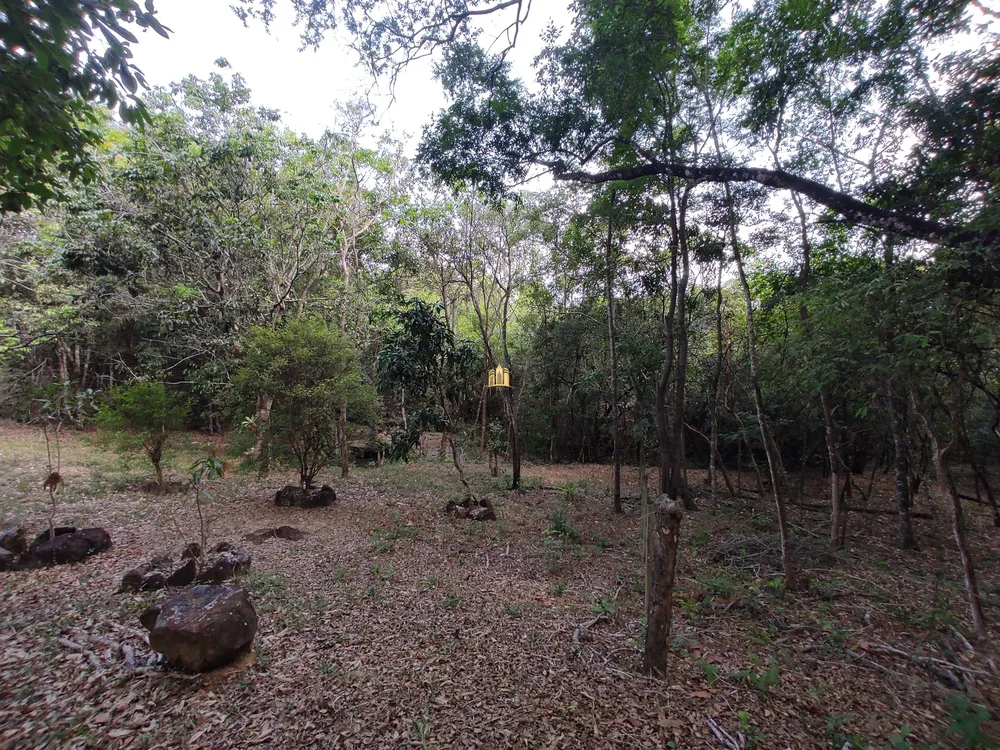 Sítio, 3 quartos, 2 hectares - Foto 12