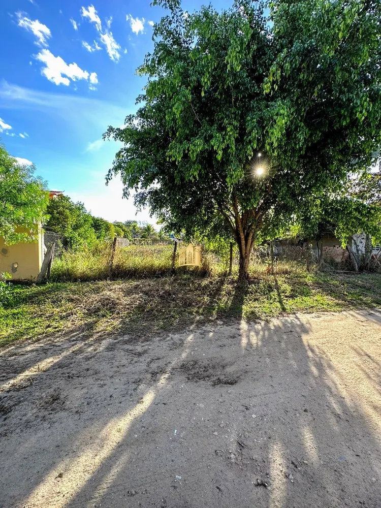 Terreno, 600 m² - Foto 2