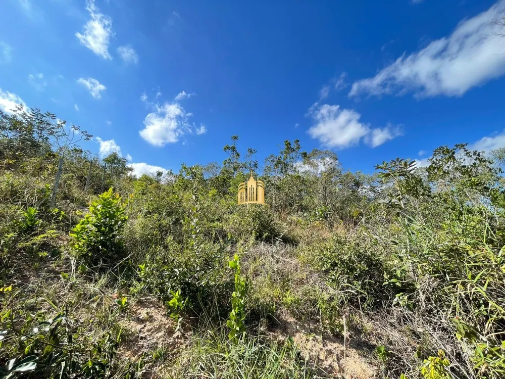 Terreno, 1000 m² - Foto 3