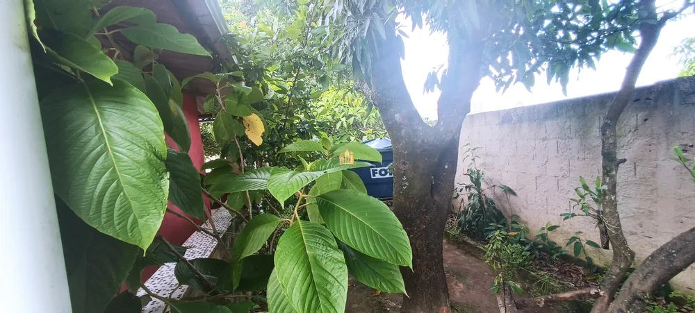 Casa, 2 quartos, 360 m² - Foto 18