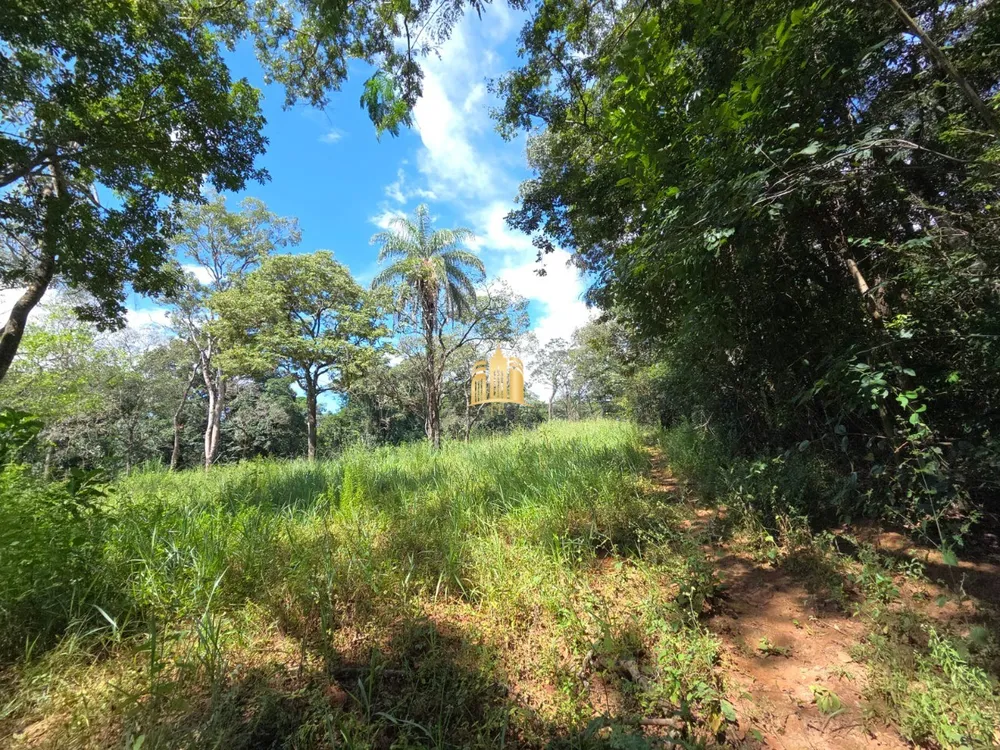 Sítio, 3 quartos, 2 hectares - Foto 6