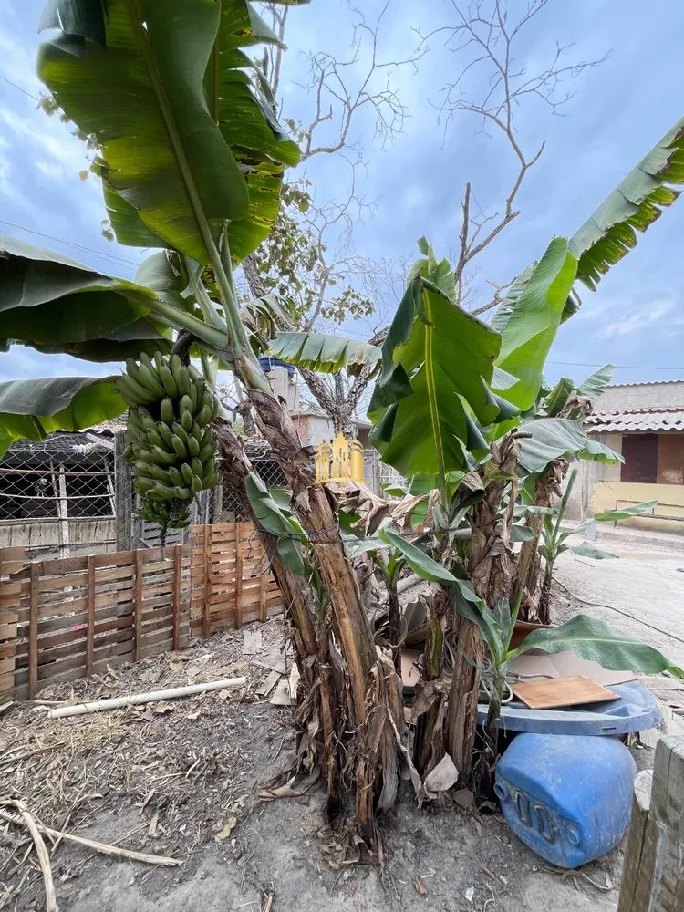 Casa, 1 quarto, 700 m² - Foto 6