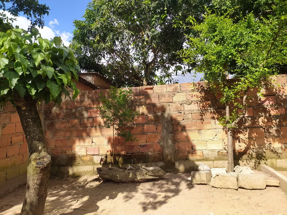 Casa, 3 quartos, 360 m² - Foto 12