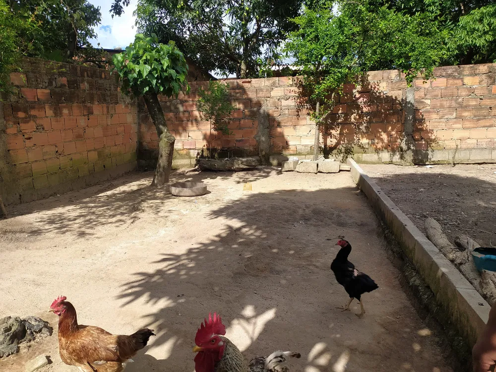 Casa, 3 quartos, 360 m² - Foto 12