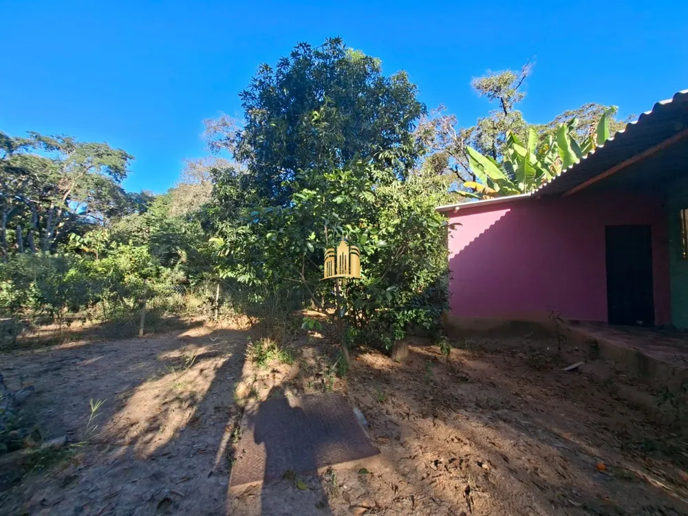 Sítio, 3 quartos, 2380 m² - Foto 2