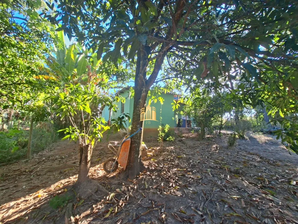 Sítio, 3 quartos, 2380 m² - Foto 2