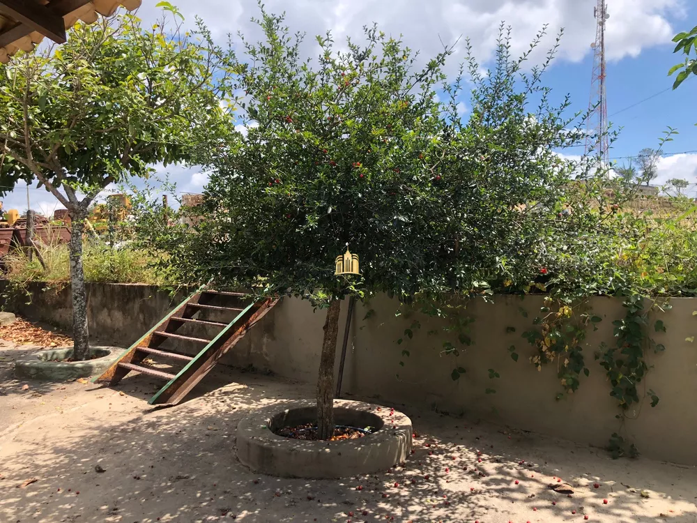 Terreno, 2 hectares - Foto 8