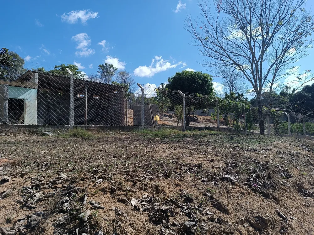 Sítio, 4 quartos, 10000 m² - Foto 11