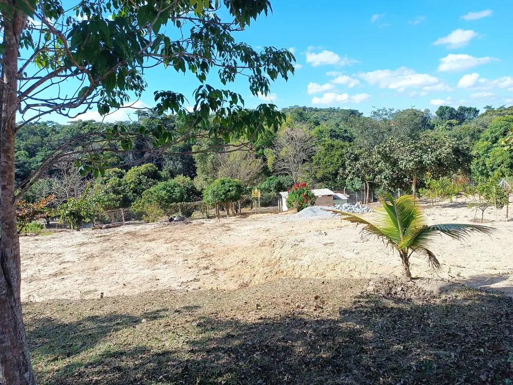Sítio, 4 quartos, 10000 m² - Foto 2